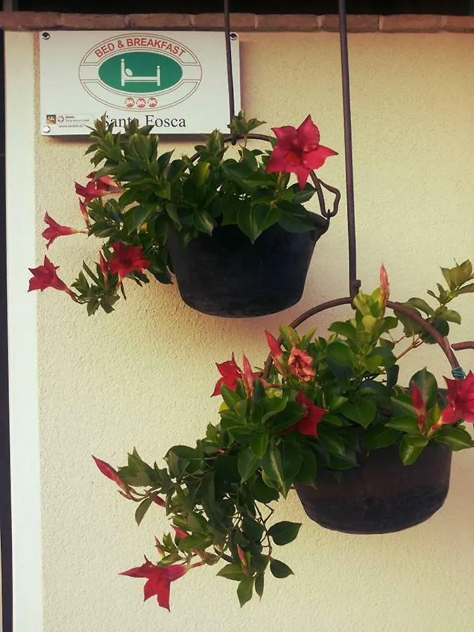 B&B Santa Fosca Pederobba Italy