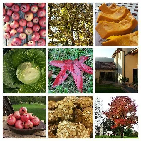 B&B Santa Fosca Pederobba